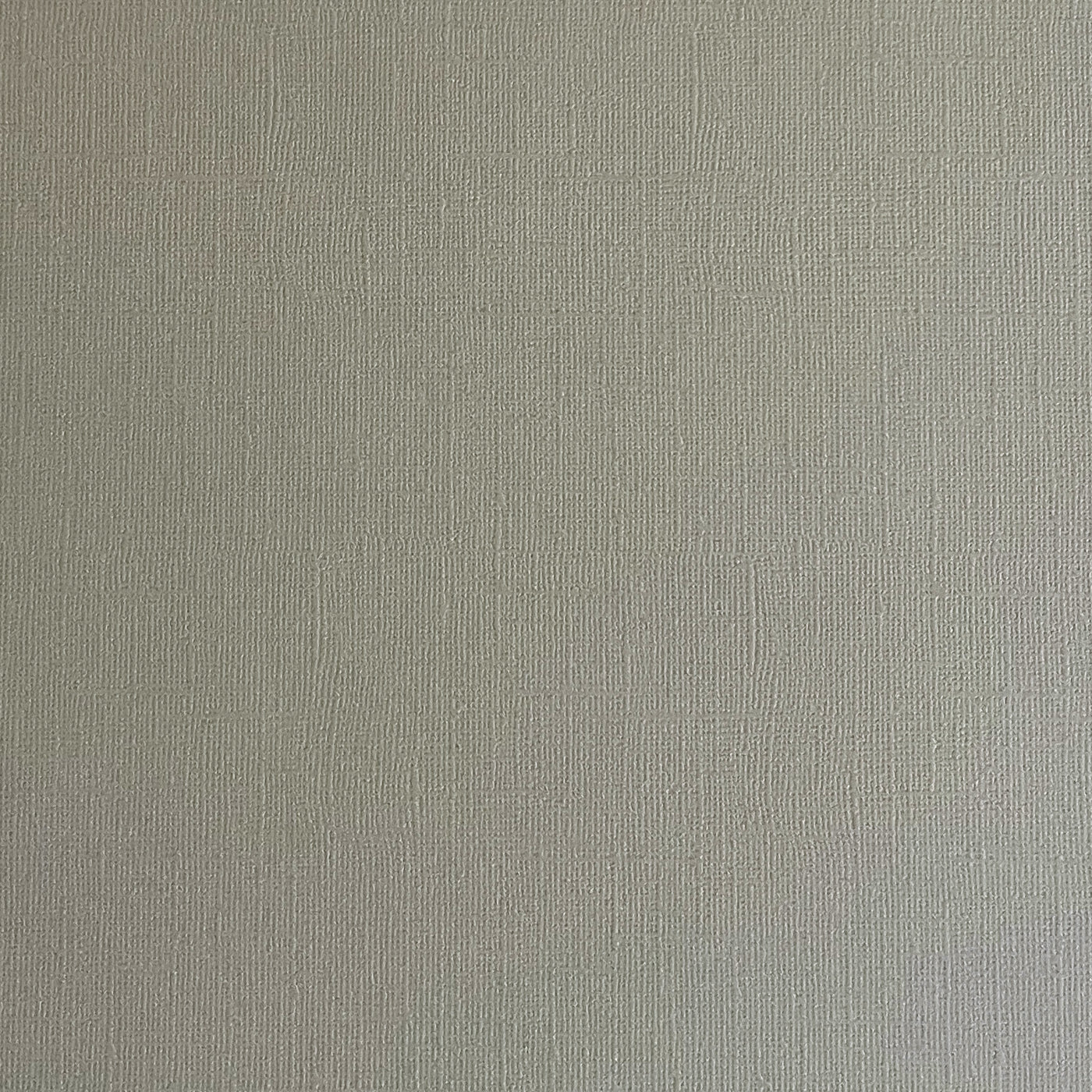 PUTTY GRAY - Textured 12x12 Cardstock - Encore Paper- Light Gray Textured Cardstock