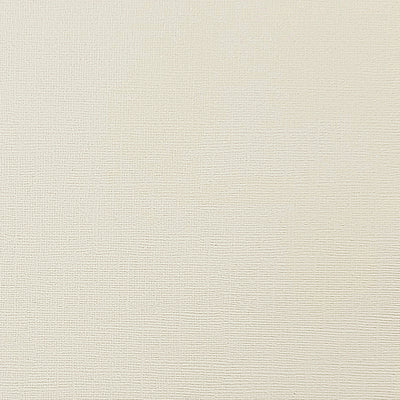 RIVER ROCK - Light Gray Textured 12x12 Cardstock - Encore Paper