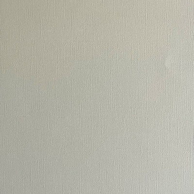 SAND DOLLAR - Light Gray Textured 12x12 Cardstock - Encore Paper