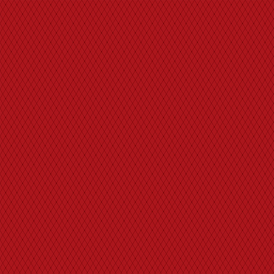 MERRY CHRISTMAS SANTA - 12x12 Double-Sided Patterned Paper - Echo Park