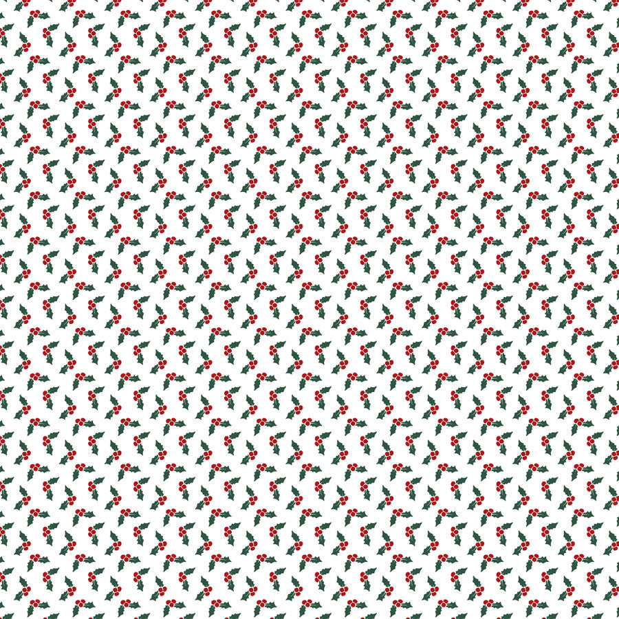 SANTA CLAUS 3X4 JOURNALING CARDS - 12x12 Double-Sided Patterned Paper - Echo Park