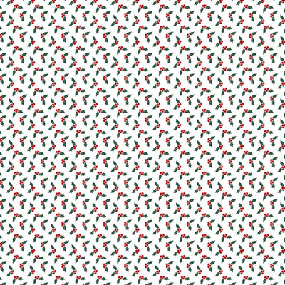 SANTA CLAUS 3X4 JOURNALING CARDS - 12x12 Double-Sided Patterned Paper - Echo Park