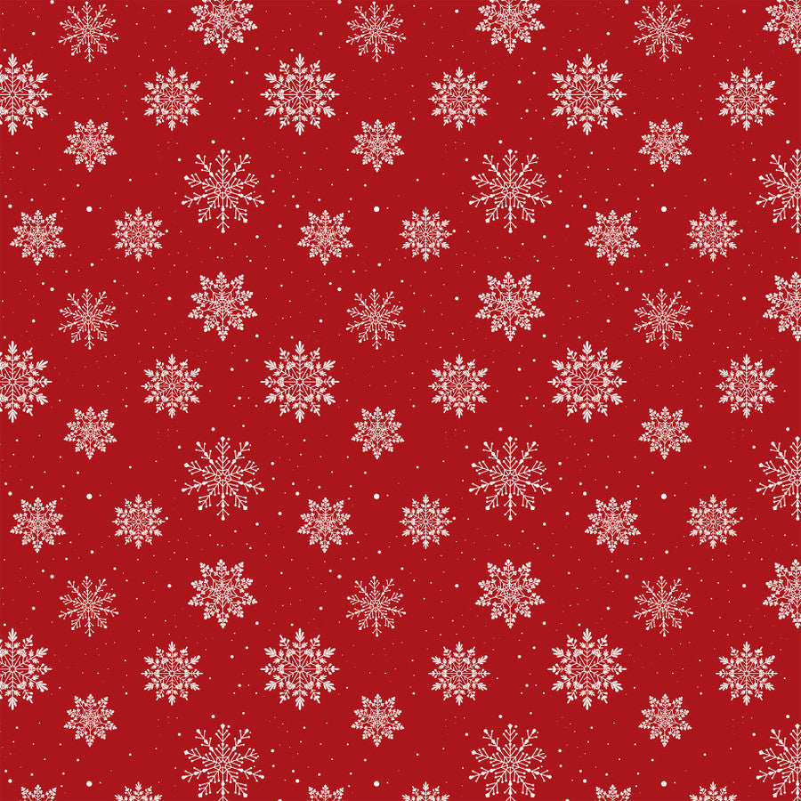 DELICATE SNOW - 12x12 Double-Sided Patterned Paper - Echo Park