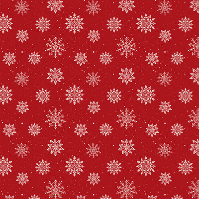 DELICATE SNOW - 12x12 Double-Sided Patterned Paper - Echo Park