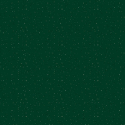 DELICATE SNOW - 12x12 Double-Sided Patterned Paper - Echo Park