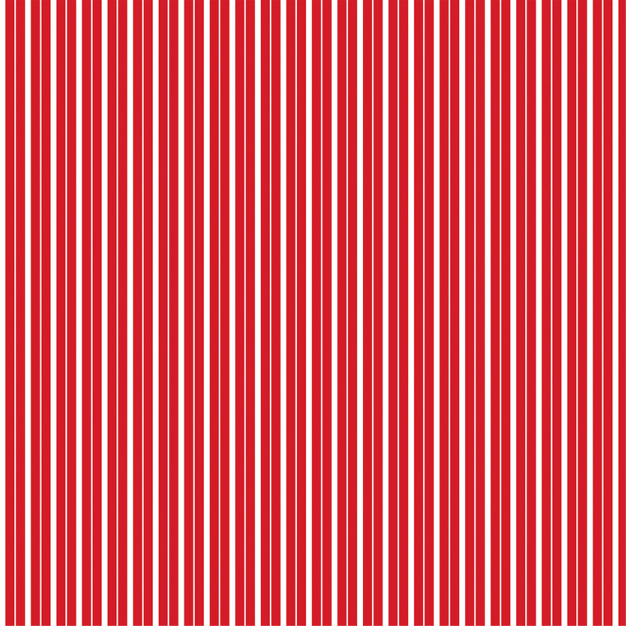 SANTA'S CHRISTMAS DELIVERY 4X4 JOURNALING CARDS - 12x12 Double-Sided Patterned Paper - Echo Park