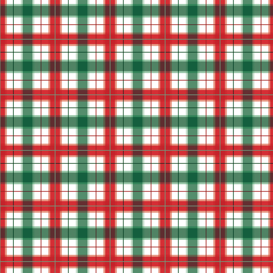 SANTA CLAUS HATS - 12x12 Double-Sided Patterned Paper - Echo Park