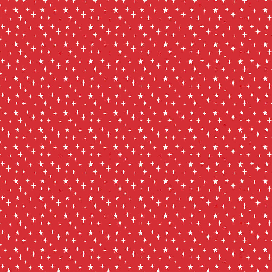 HOLIDAY PRESENTS - 12x12 Double-Sided Patterned Paper - Echo Park