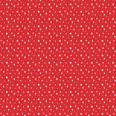 HOLIDAY PRESENTS - 12x12 Double-Sided Patterned Paper - Echo Park