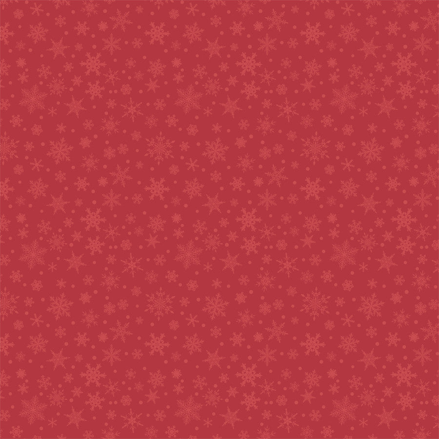 PACKAGED PRESENTS - 12x12 Double-Sided Patterned Paper - Echo Park