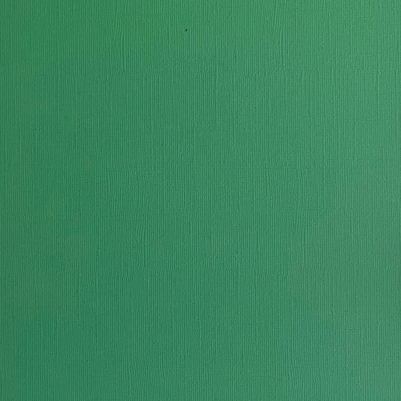 SHAMROCK - Textured 12x12 Cardstock - Encore Paper