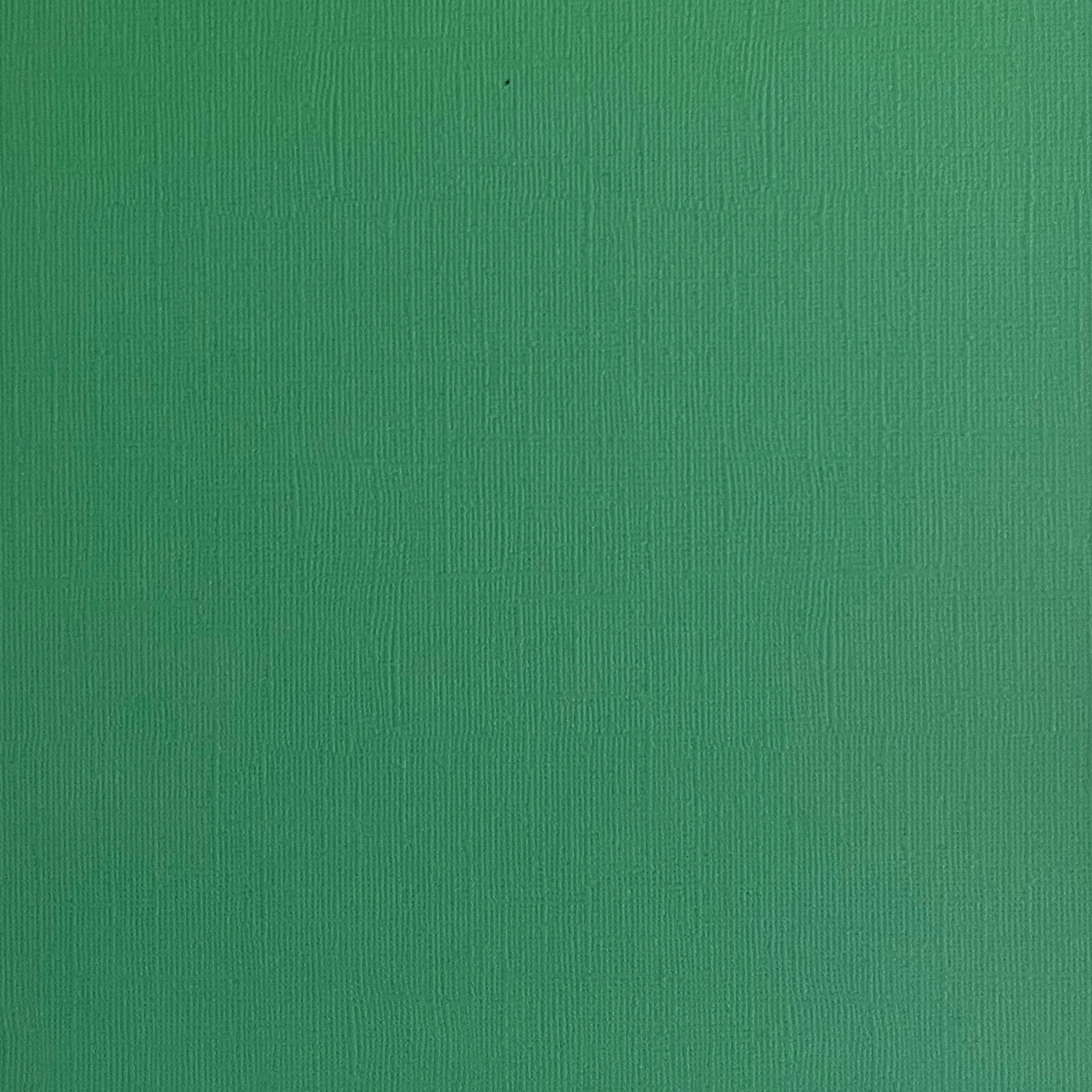 LUCKY CLOVER - Green Textured 12x12 Cardstock - Encore Paper