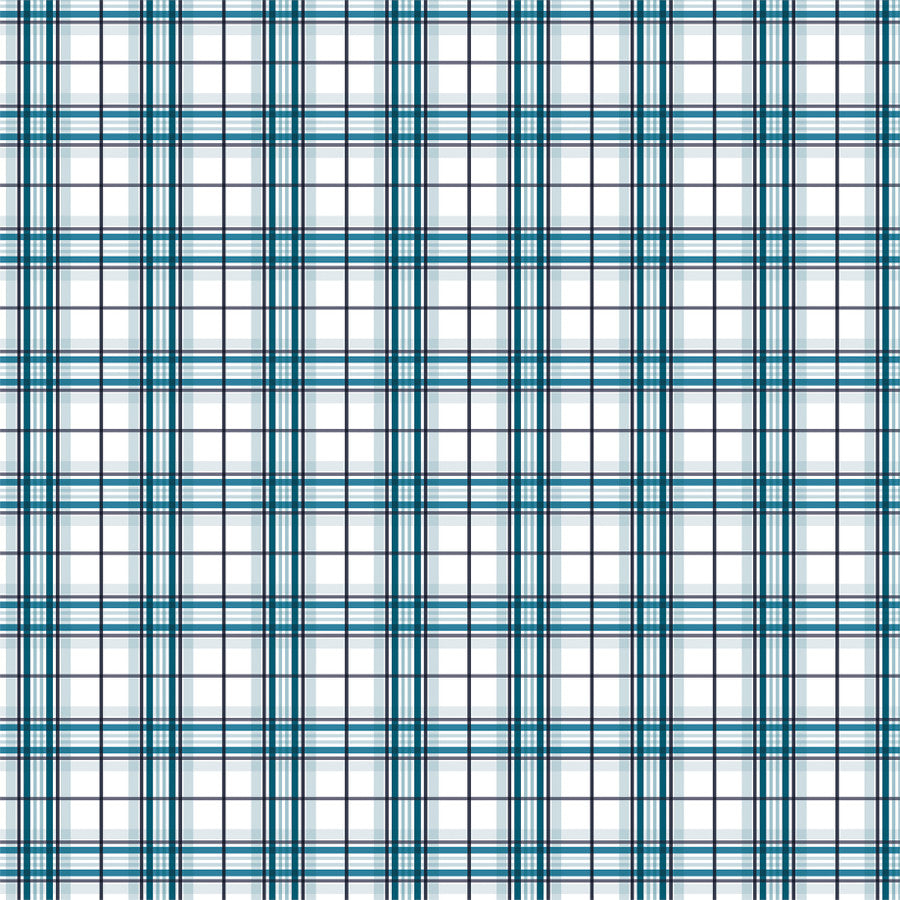 POLAR PLAID - 12x12 Double-Sided Patterned Paper - Echo Park