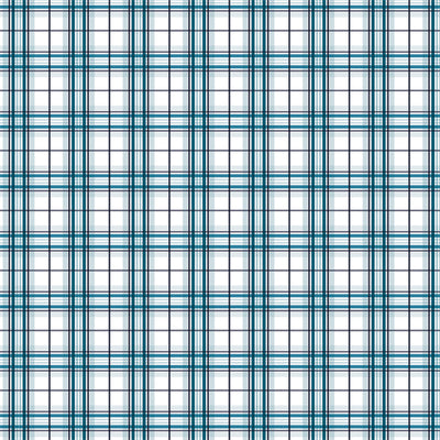 POLAR PLAID - 12x12 Double-Sided Patterned Paper - Echo Park