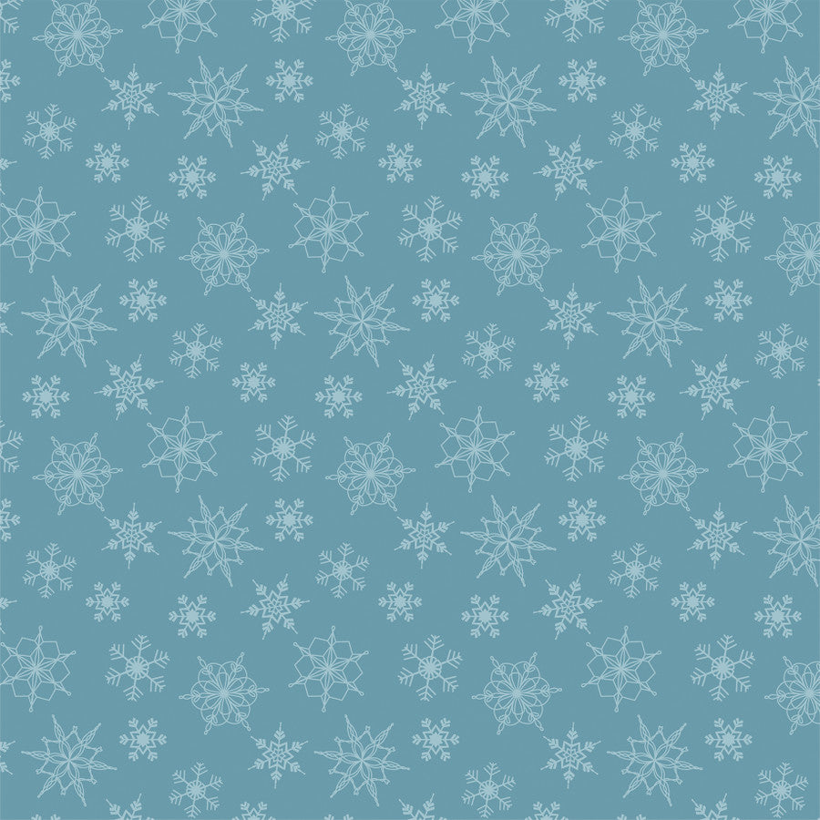 POLAR PLAID - 12x12 Double-Sided Patterned Paper - Echo Park