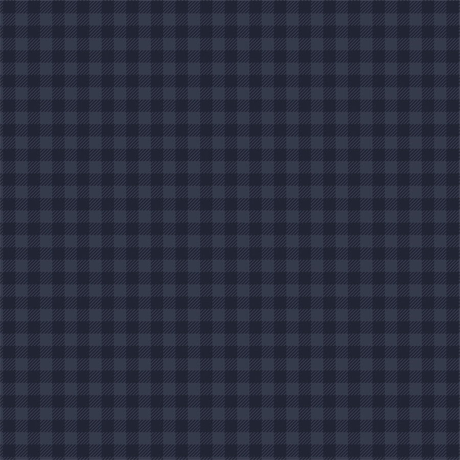 BLIZZARDING BLUE - 12x12 Double-Sided Patterned Paper - Echo Park