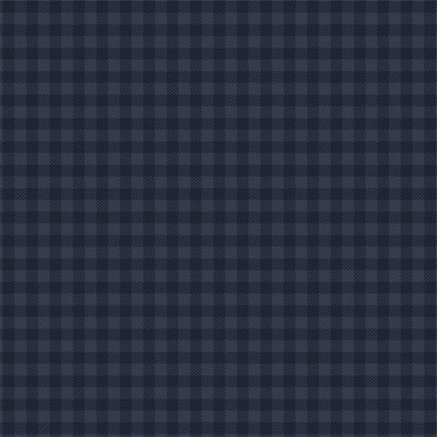 BLIZZARDING BLUE - 12x12 Double-Sided Patterned Paper - Echo Park
