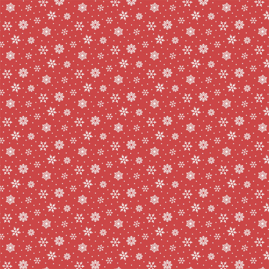 SNOW GLOBES - 12x12 Double-Sided Patterned Paper - Echo Park