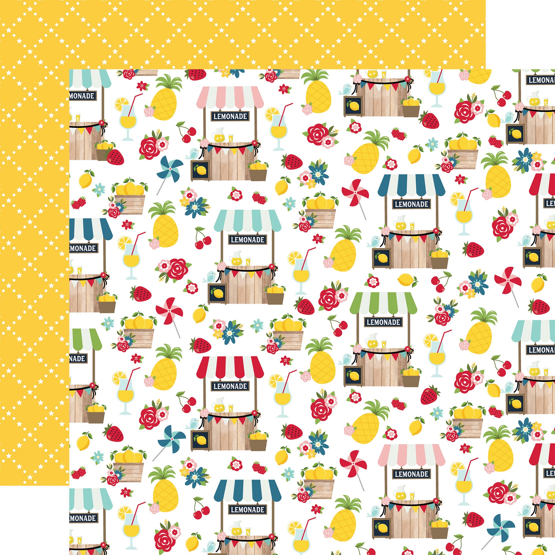 SQUEEZE THE DAY - 12x12 Double-Sided Patterned Paper - Echo Park – The ...