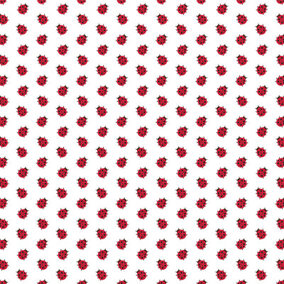 SUMMERTIME - 12x12 Double-Sided Patterned Paper - Echo Park