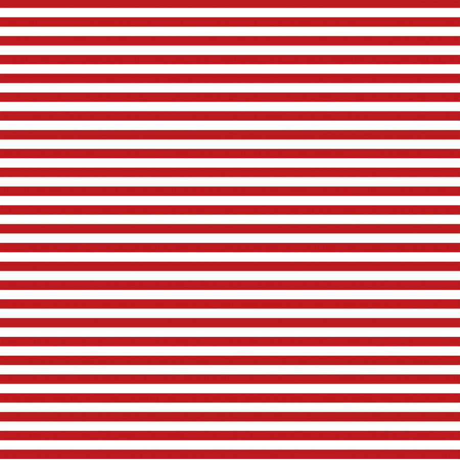 SHOOTING STARS - 12x12 Double-Sided Patterned Paper - Echo Park