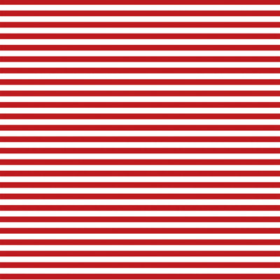 SHOOTING STARS - 12x12 Double-Sided Patterned Paper - Echo Park