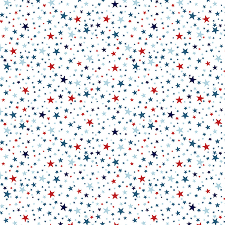 SPIRITED STARS - 12x12 Double-Sided Patterned Paper - Echo Park