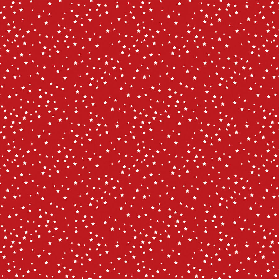 FLOWERS FOR THE FOURTH - 12x12 Double-Sided Patterned Paper - Echo Park
