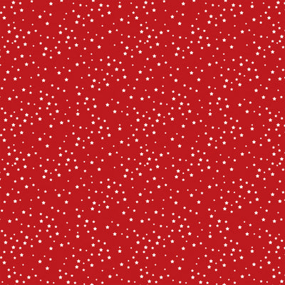 FLOWERS FOR THE FOURTH - 12x12 Double-Sided Patterned Paper - Echo Park