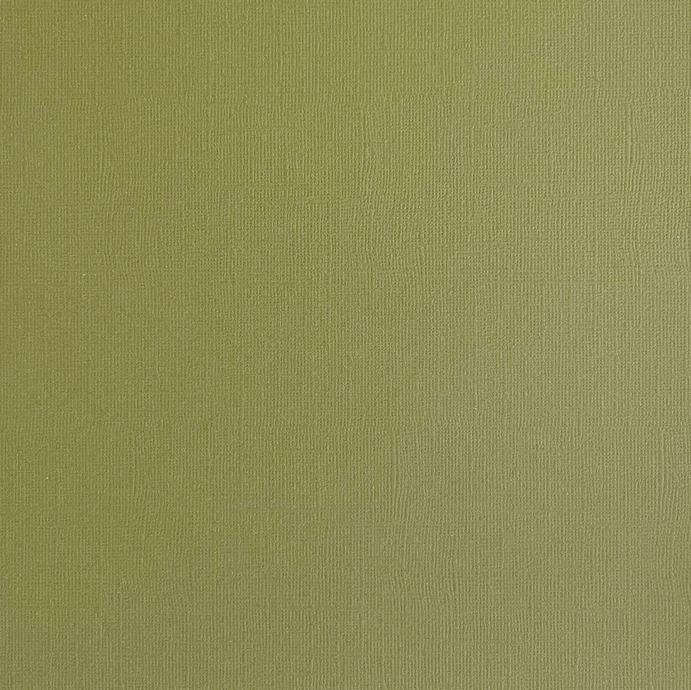 THYME - Light Sage Green Textured 12x12 Cardstock - Encore Paper