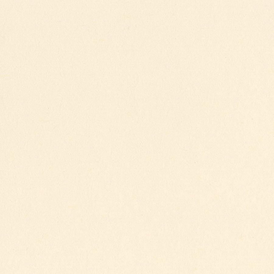 WHITEWASH - My Colors Heavyweight 100 lb 12x12 Cardstock
