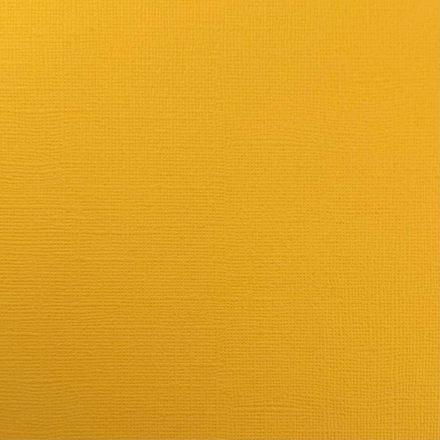 WILDFLOWER HONEY - Yellow Textured 12x12 Cardstock - Encore Paper