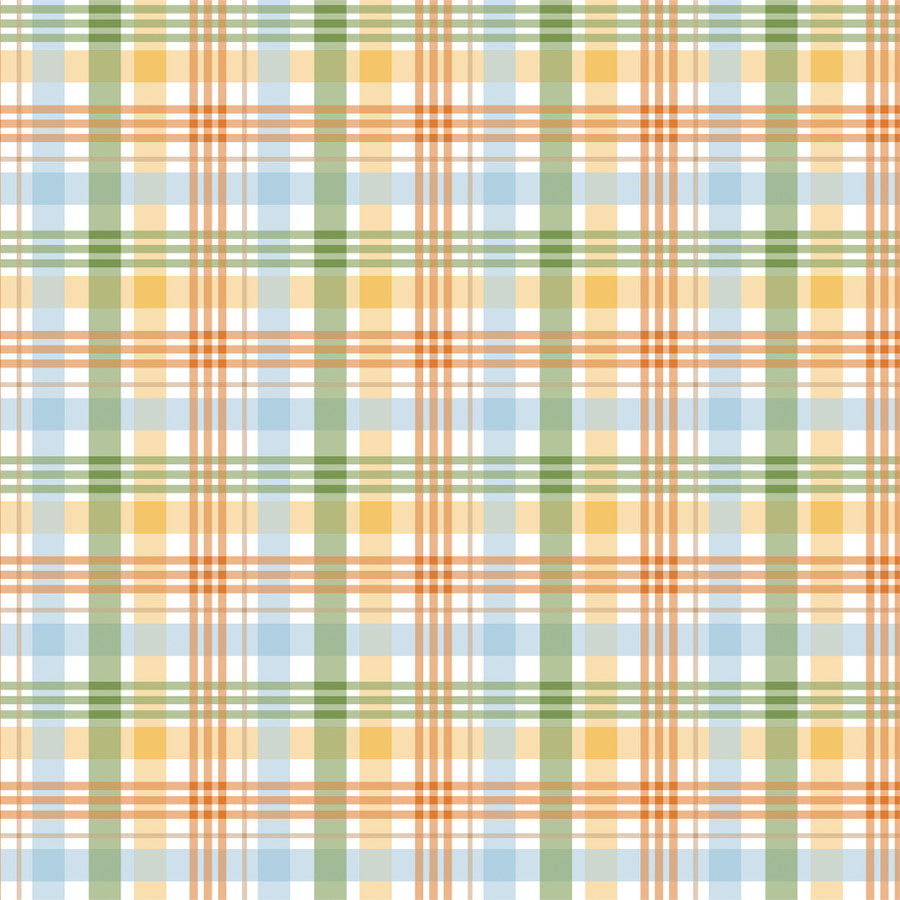 PEEK-A-BOO PLAID - 12x12 Double-Sided Patterned Paper - Echo Park