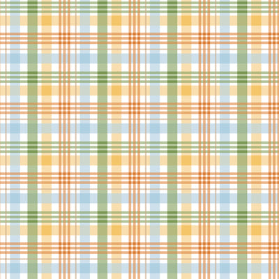 PEEK-A-BOO PLAID - 12x12 Double-Sided Patterned Paper - Echo Park