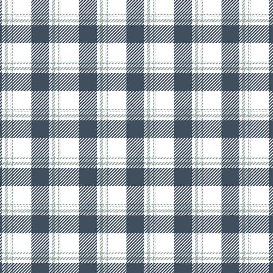 SNOW PLACE PLAID - 12x12 Double-Sided Patterned Paper - Echo Park