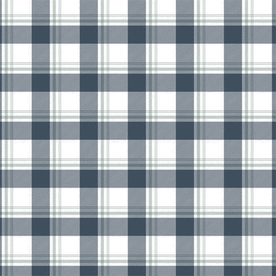 SNOW PLACE PLAID - 12x12 Double-Sided Patterned Paper - Echo Park