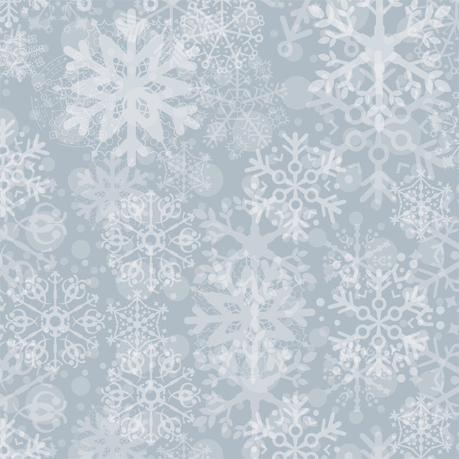 SNOW PLACE PLAID - 12x12 Double-Sided Patterned Paper - Echo Park