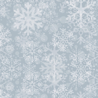 SNOW PLACE PLAID - 12x12 Double-Sided Patterned Paper - Echo Park