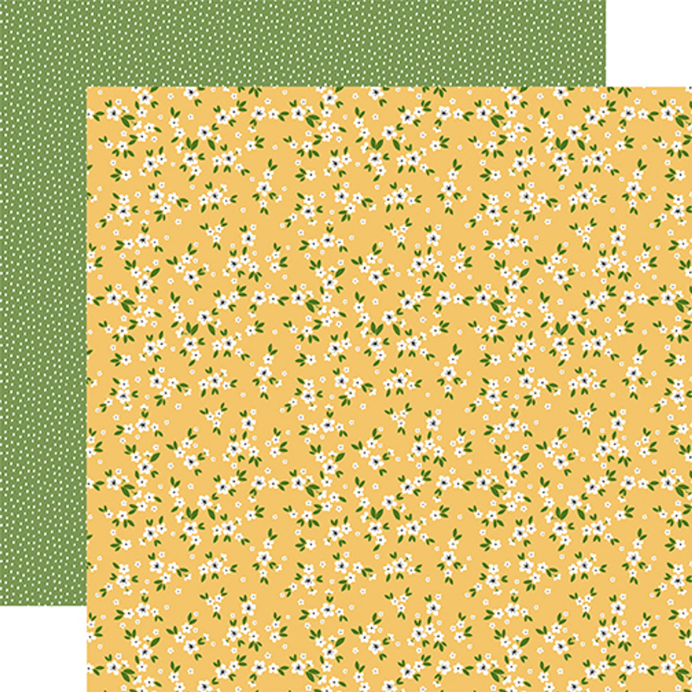 12x12 double-sided patterned paper. (Side A - little white flowers with green leaves on a yellow background, Side B - little white polka dots on a green background)