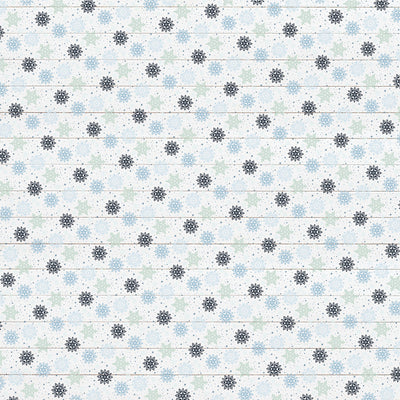 WINTER 4X4 JOURNALING CARDS - 12x12 Double-Sided Patterned Paper - Echo Park