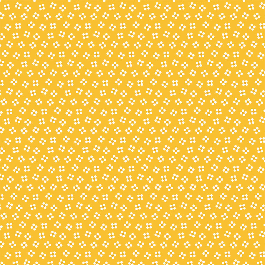 WISH UPON THE STARS - 12x12 Double-Sided Patterned Paper - Echo Park