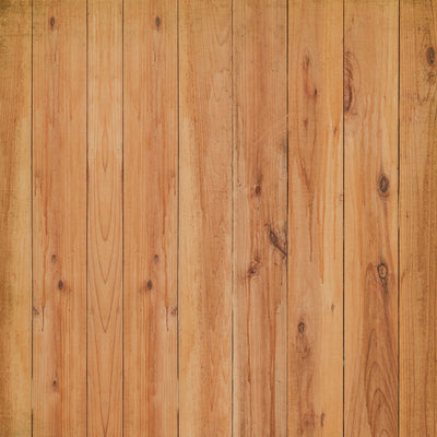 WARM WOOD GRAIN - 12x12 Double-Sided Patterned Paper - Echo Park