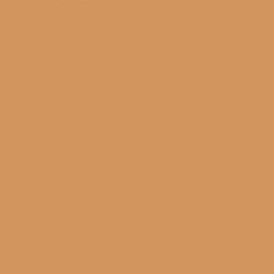 WARM WOOD GRAIN - 12x12 Double-Sided Patterned Paper - Echo Park