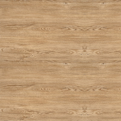 TAN WOOD GRAIN - 12x12 Double-Sided Patterned Paper - Echo Park