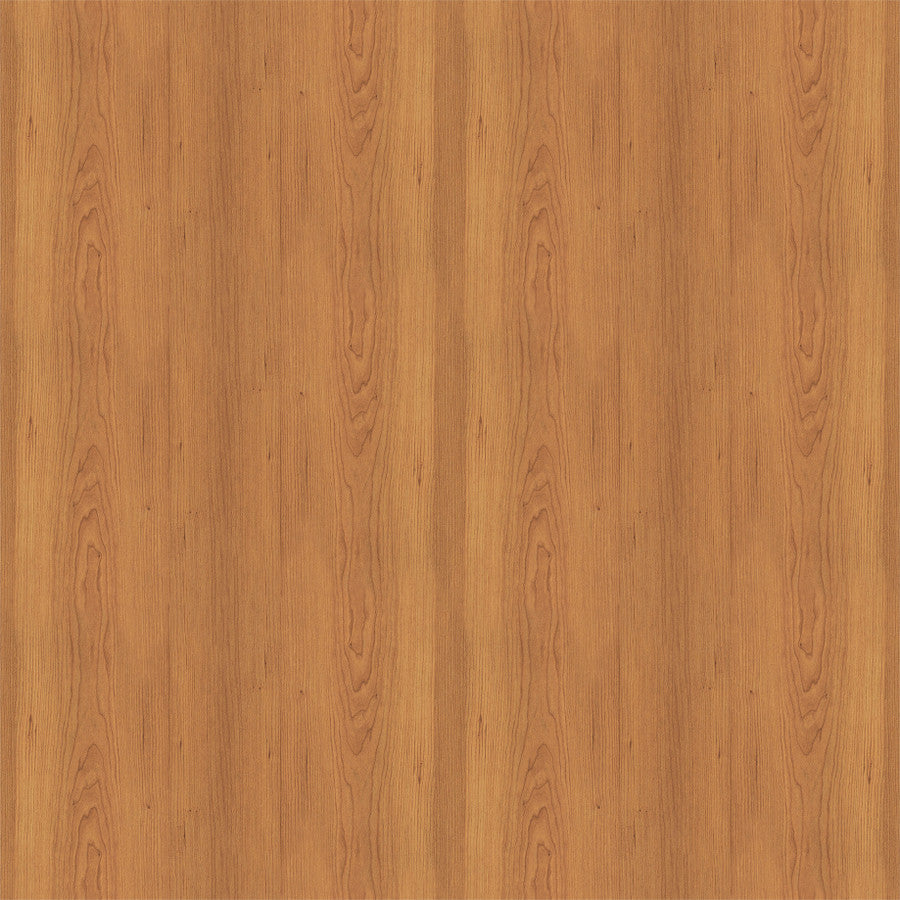 BROWN WOOD GRAIN - 12x12 Double-Sided Patterned Paper - Echo Park