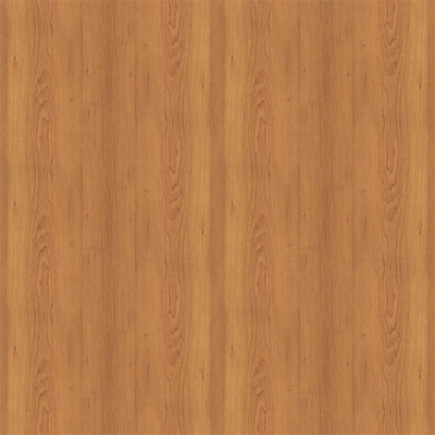 BROWN WOOD GRAIN - 12x12 Double-Sided Patterned Paper - Echo Park