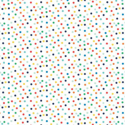 IT'S YOUR BIRTHDAY BOY BORDERS- 12x12 Double-Sided Patterned Paper - Echo Park