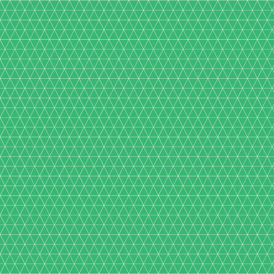 BIRTHDAY BOY FUN - 12x12 Double-Sided Patterned Paper - Echo Park