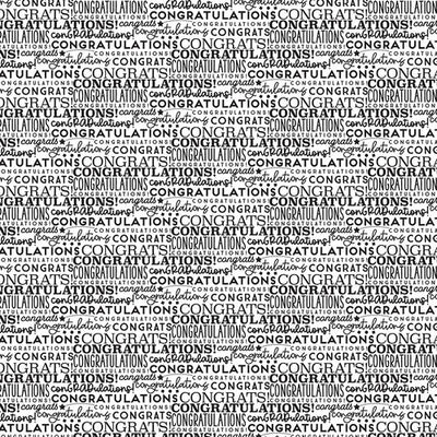 THAT'S A WRAP - 12x12 Double-Sided Patterned Paper - BELLA BLVD