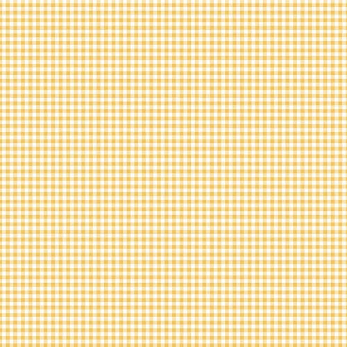 SHINE BRIGHT FIREFLIES - 12x12 Double-Sided Patterned Paper - Echo Park